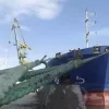 esportazione grano ucraina