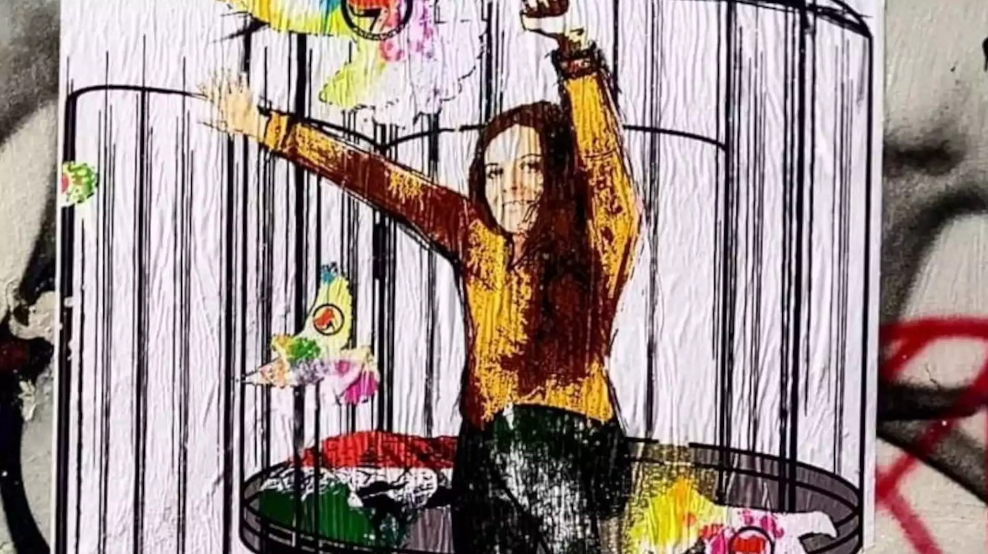 ilaria salis vittima della sinistra