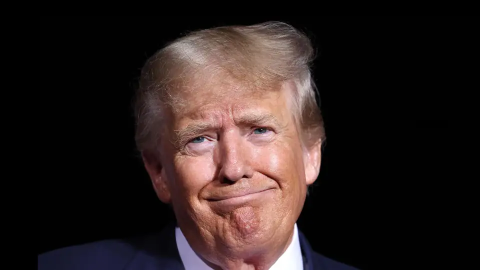 donald trump stupido